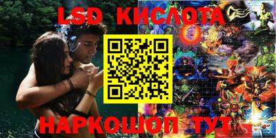 шишки Кинель