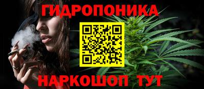 индика Кимры
